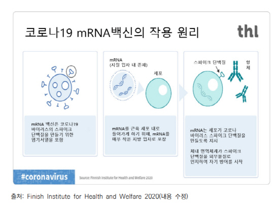 `mRNA`, ڷγ ̾ ϱ  